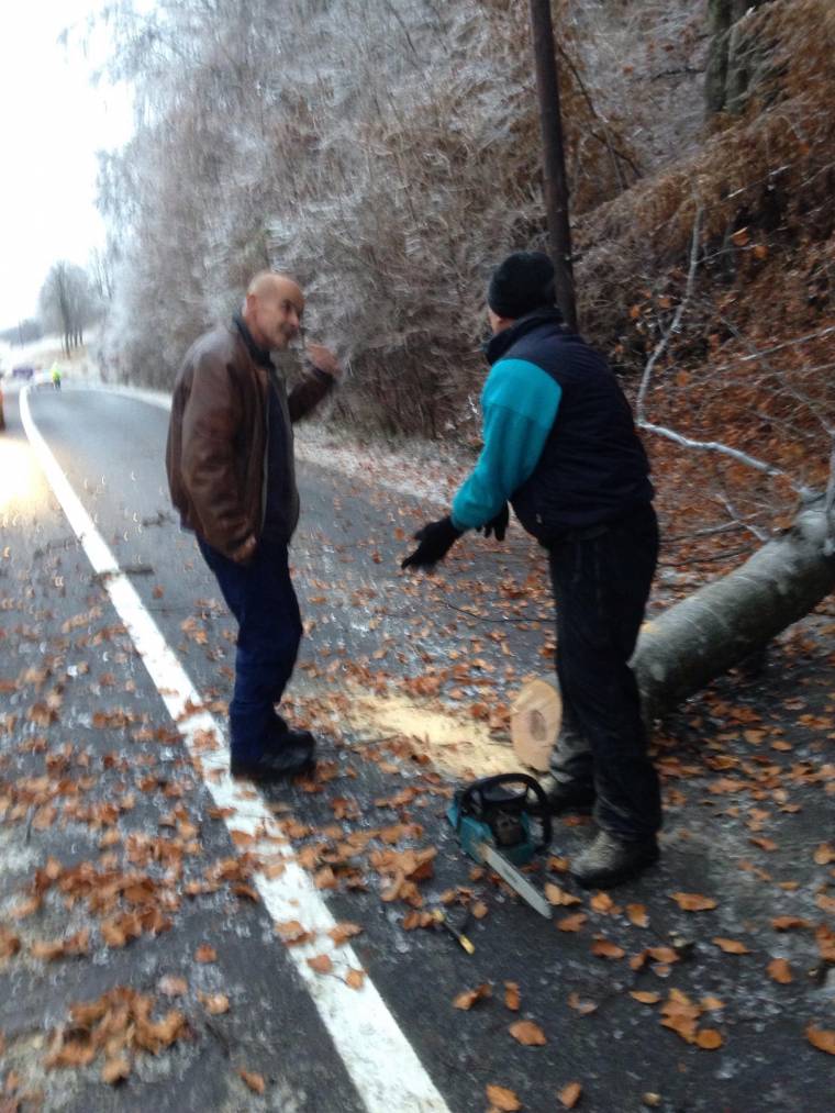 Kidőlt fák, hófúvások akadályozzák a közlekedést Háromszéken