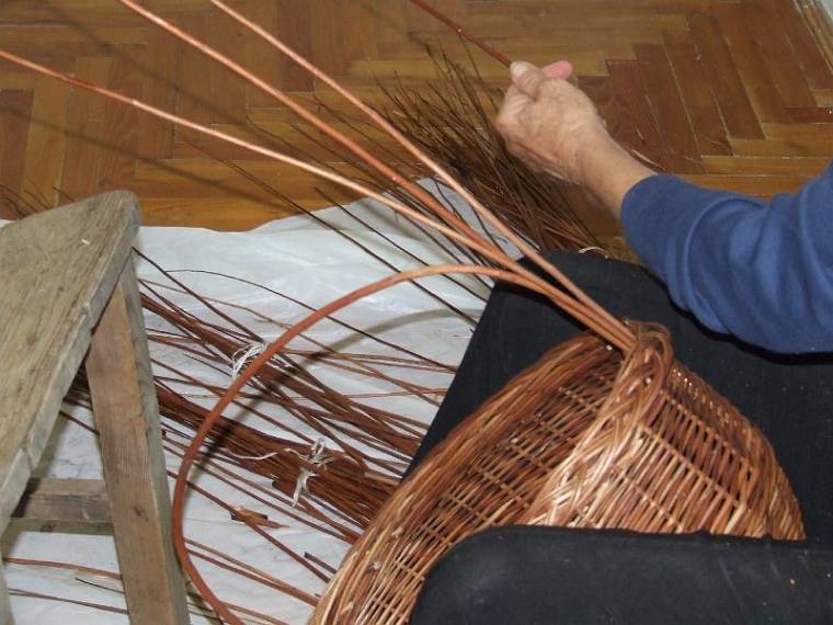 Továbbképzéshez kötelező a tíz osztály