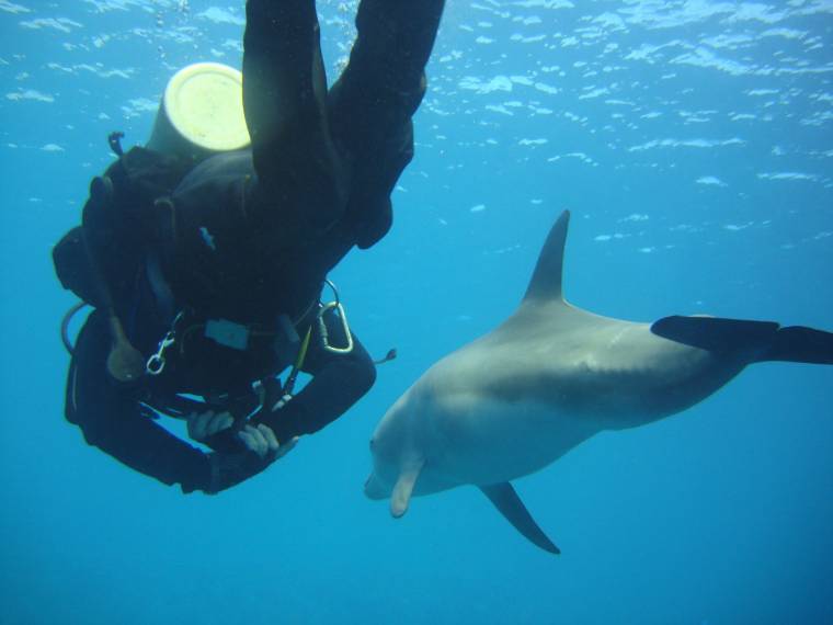 Európa egyetlen búvártavát hozták létre Dálnokon