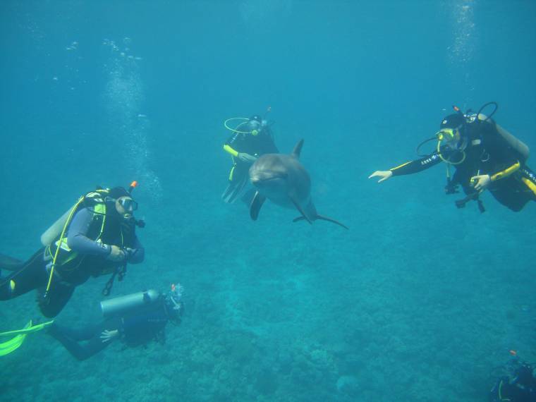 Búvárkodás Háromszéken