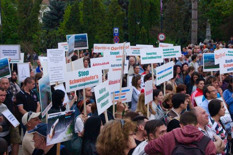 Ismét az erdőirtások ellen vonulnak utcára