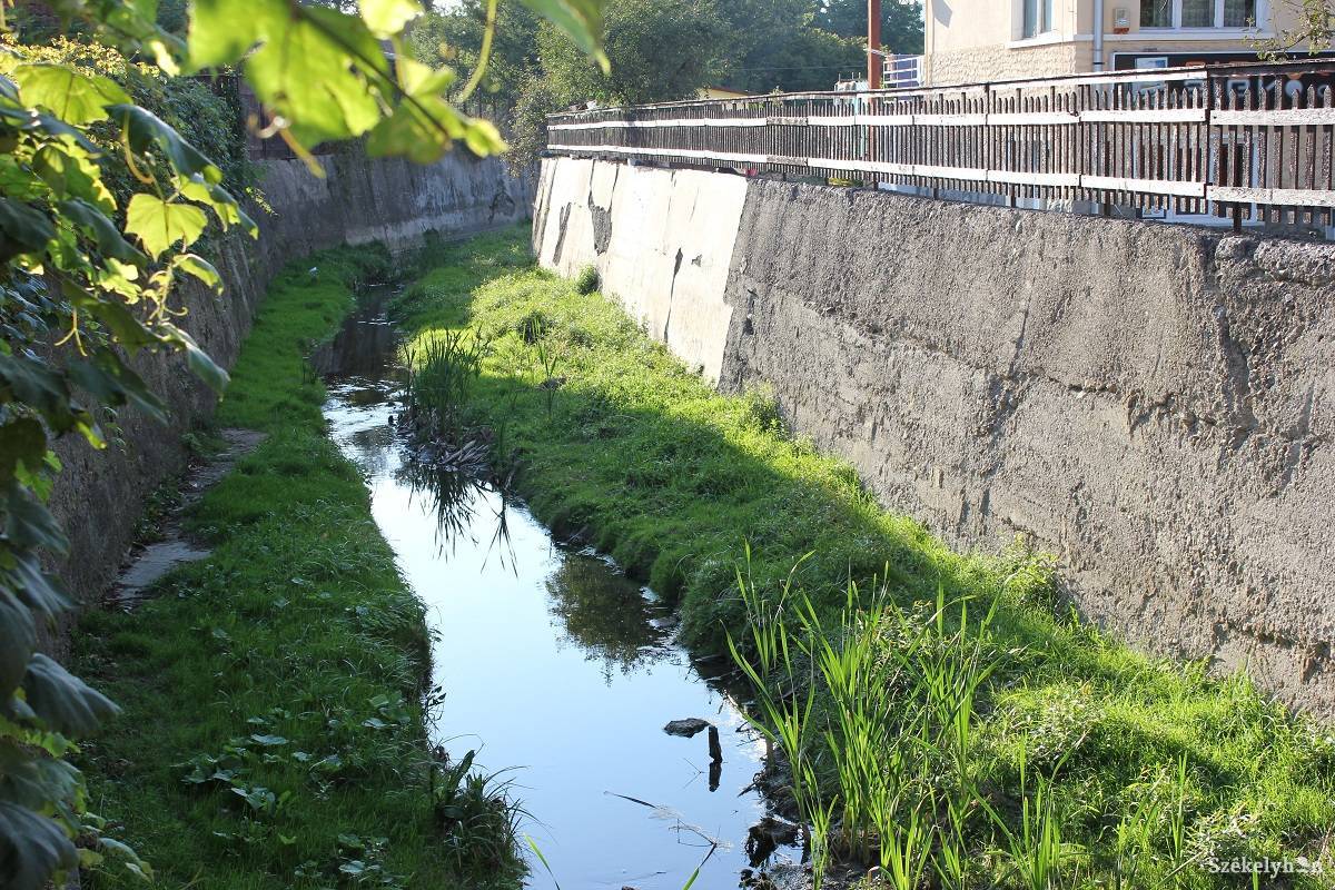 •  Fotó: Bencze Melinda