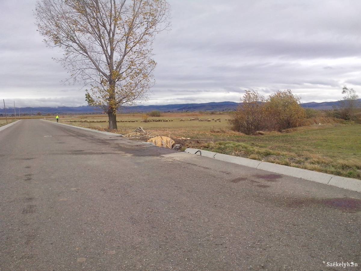 •  Fotó: Bartos Lóránt