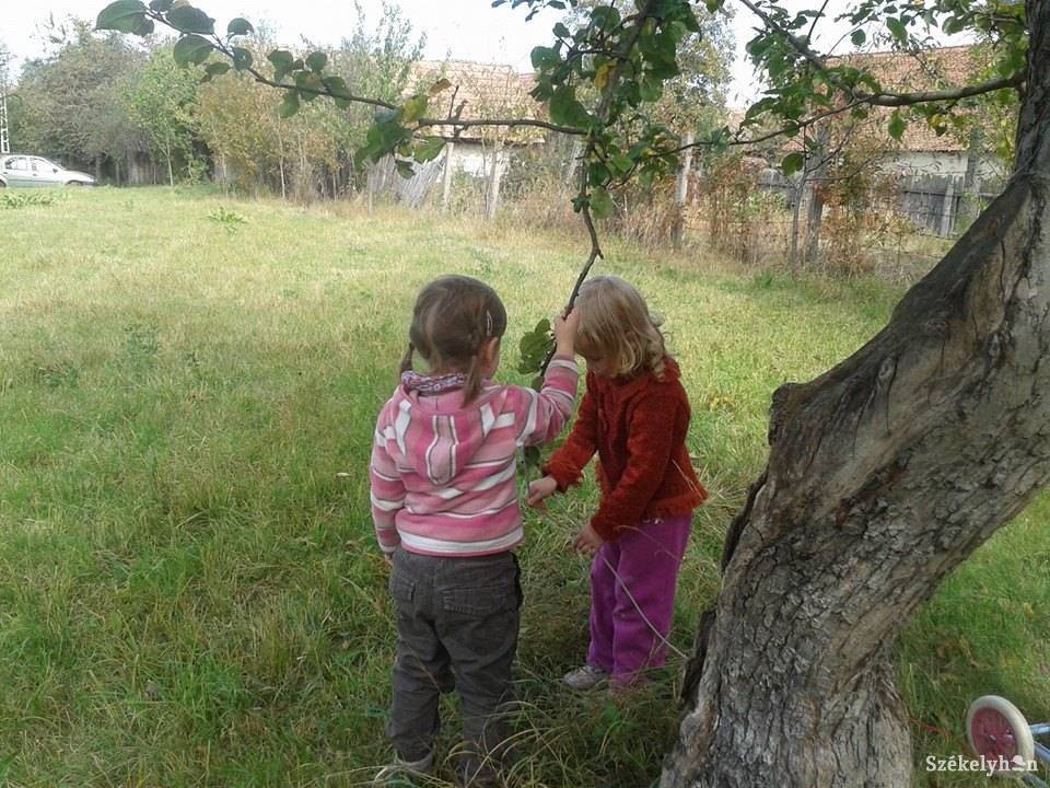 • Fotó: Bús Ildikó