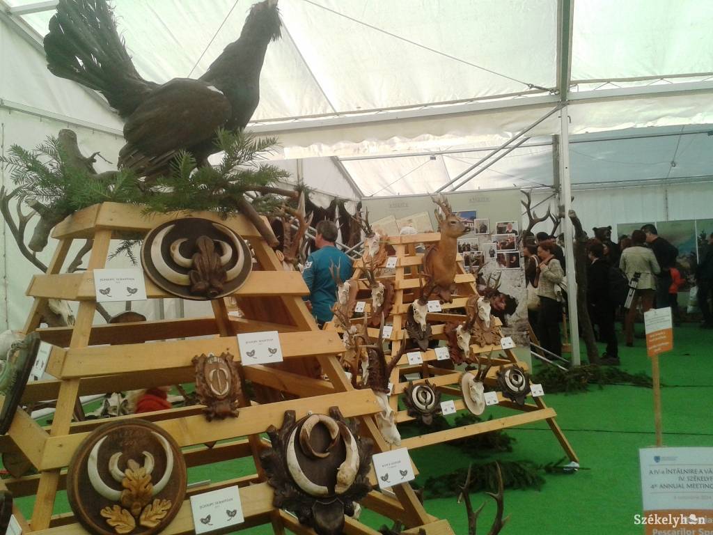 •  Fotó: Bús Ildikó