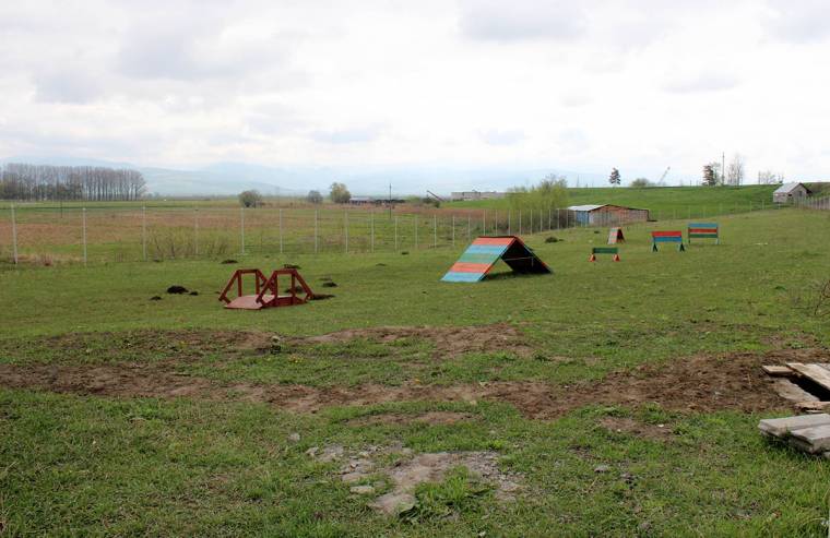 Ingyenes kutyakiképzés Kézdivásárhelyen