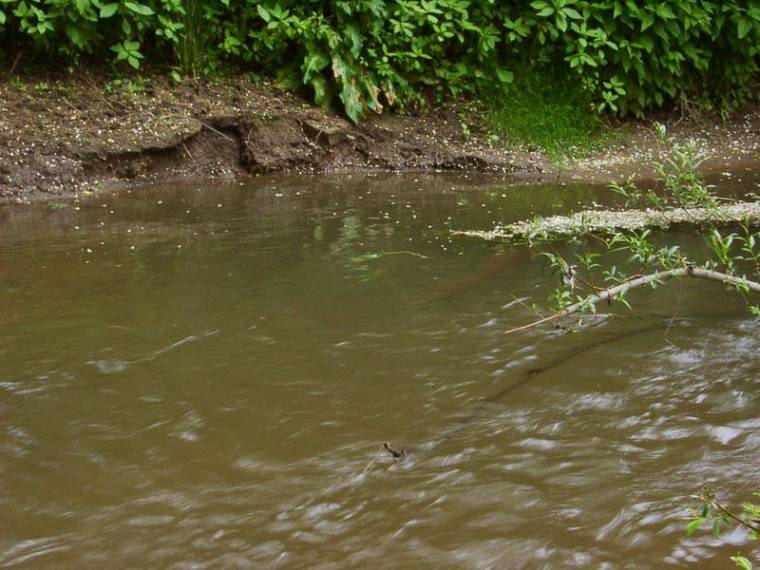 Megtalálták az egyik eltűnt gyerek holttestét
