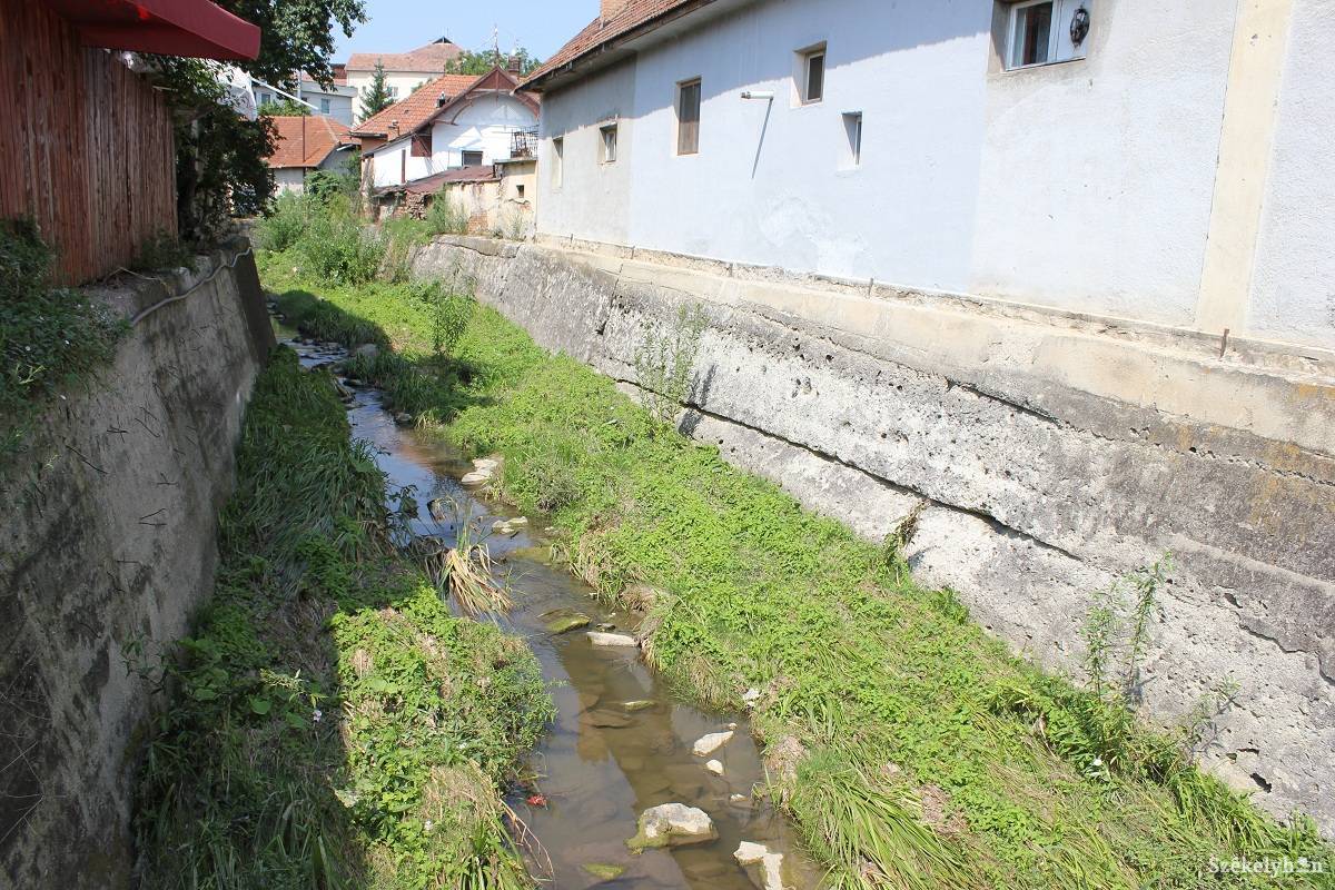 • Fotó: Bencze Melinda