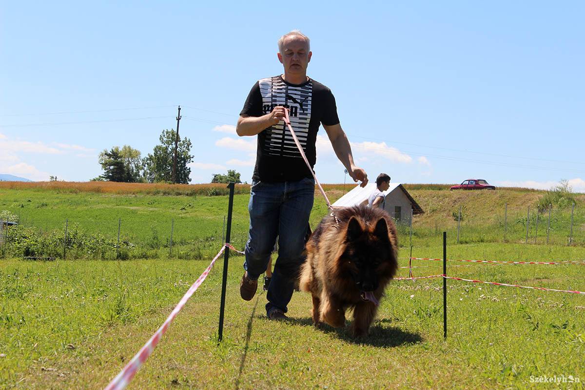 •  Fotó: Bartos Lóránt