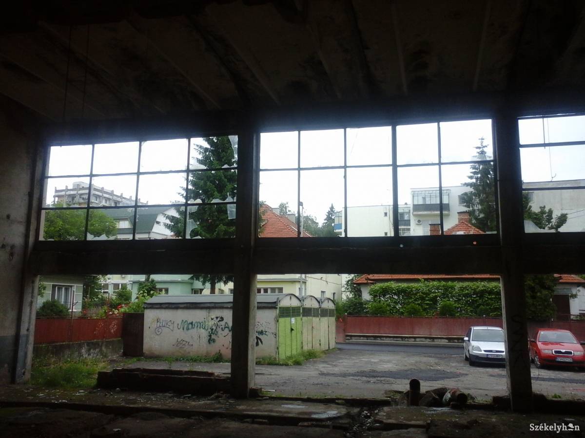 • Fotó: Szabó Enikő