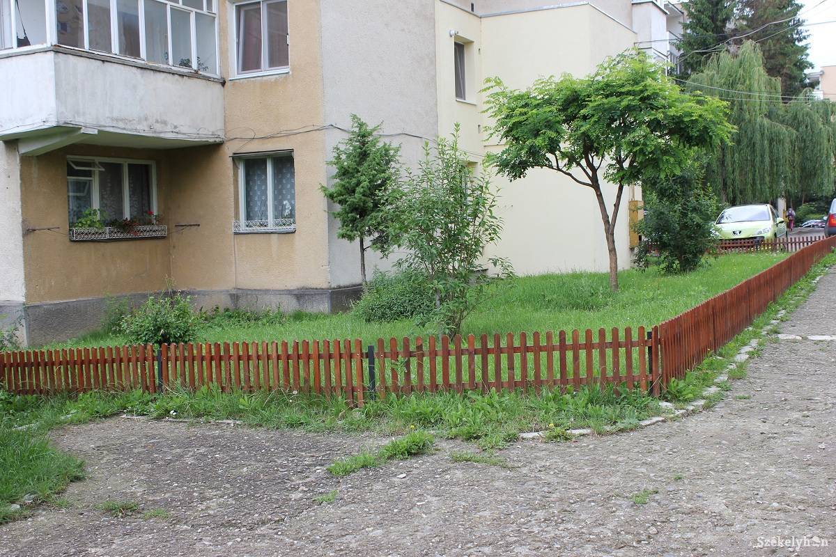 •  Fotó: Bencze Melinda