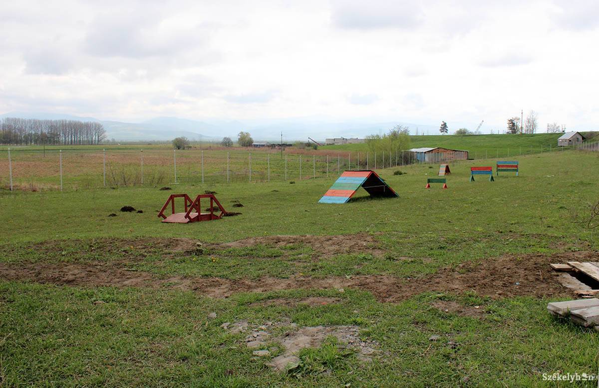 • Fotó: Bartos Lóránt