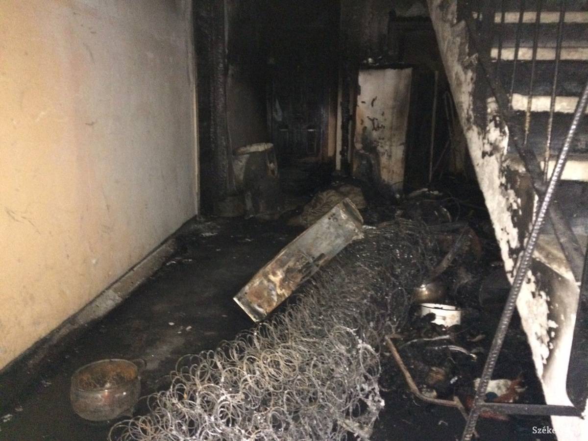 • Fotó: Bencze Melinda