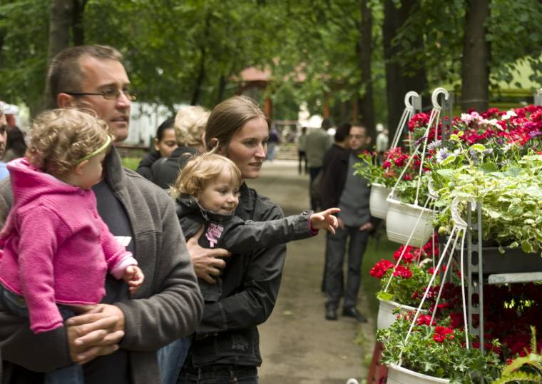 Dísznövényeket állítanak ki