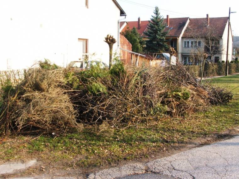 Hatékonyabb munkát várnak a Kovászna megyei köztisztasági vállalattól