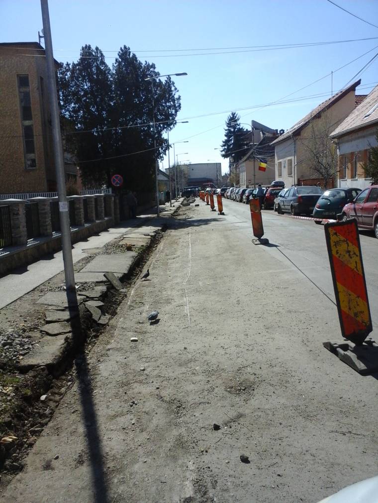 Végül az összes fát kivágták