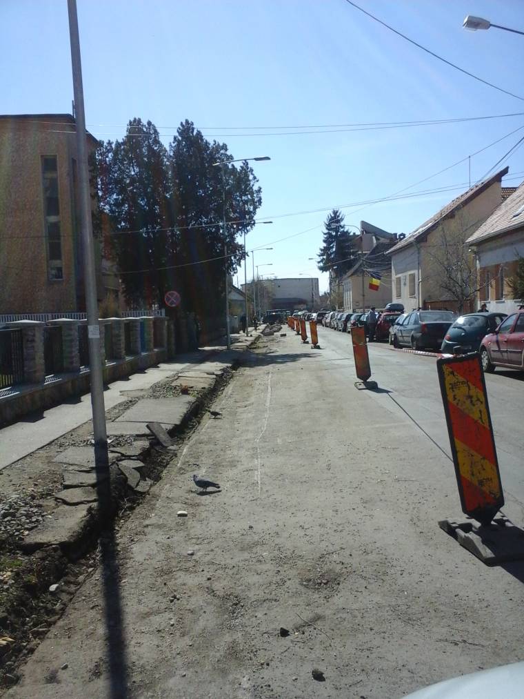 Nem jó helyen álltak, kivágták a fákat