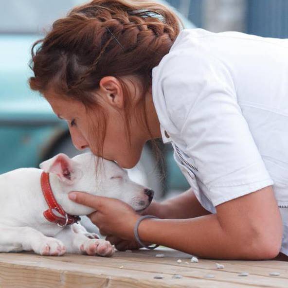 A háromszéki kutyatartók ellenzik az új rendeletet