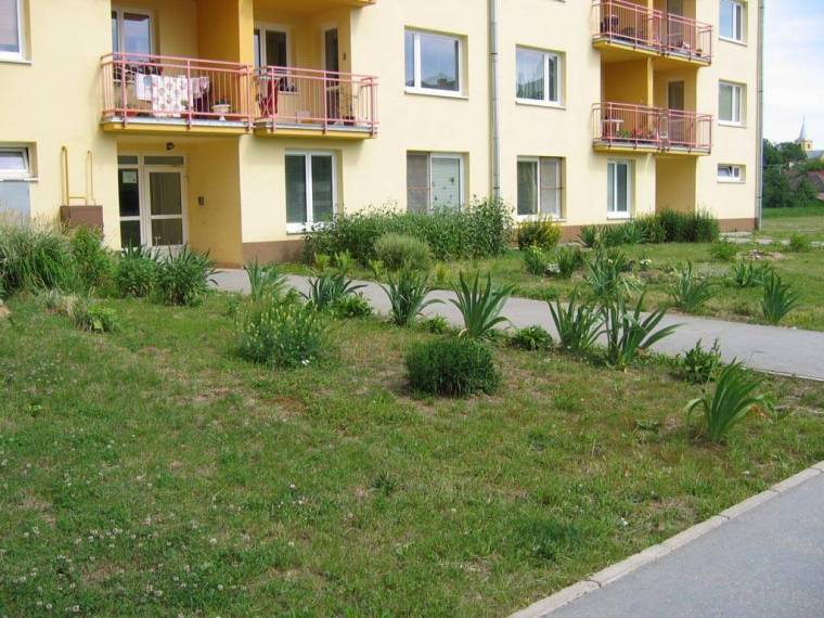 Folytatódik a zöldövezet-karbantartási program