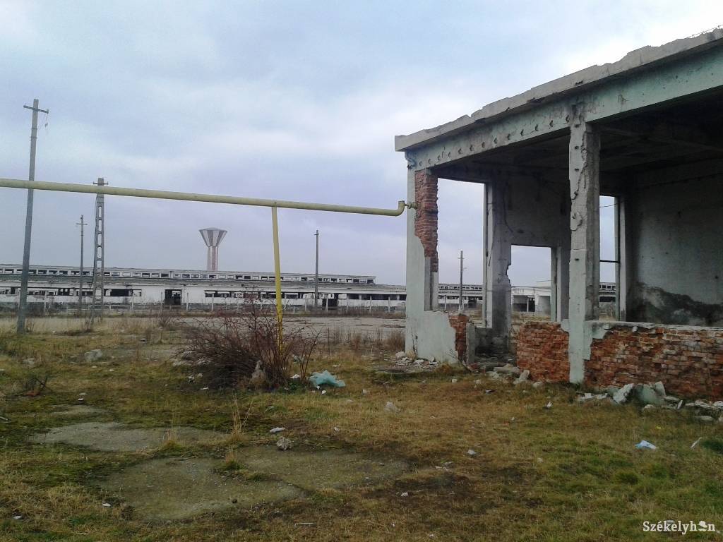 • Fotó: Bús Ildikó