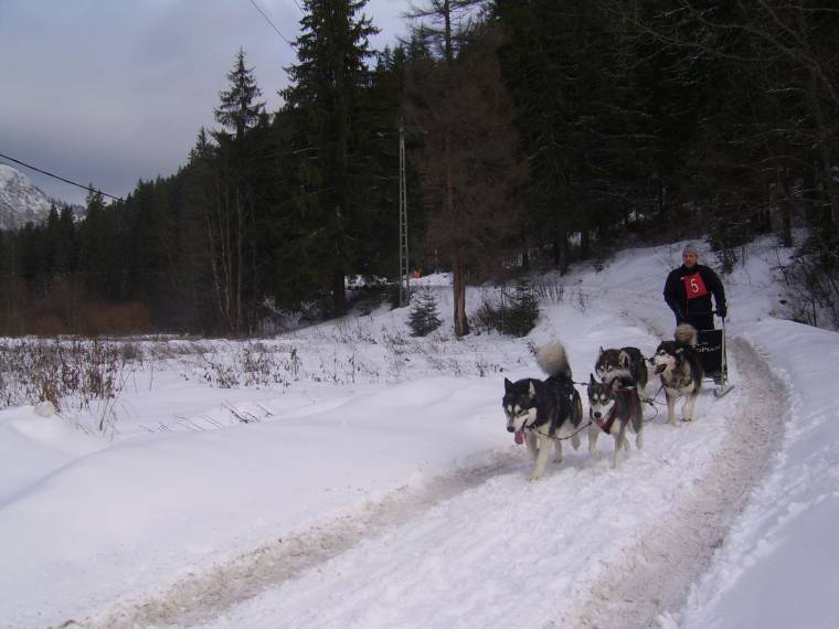 Kutyaszánhúzó versenyek maradhatnak el