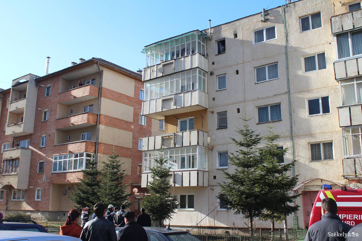 • Fotó: fotó: Bartos Lóránt