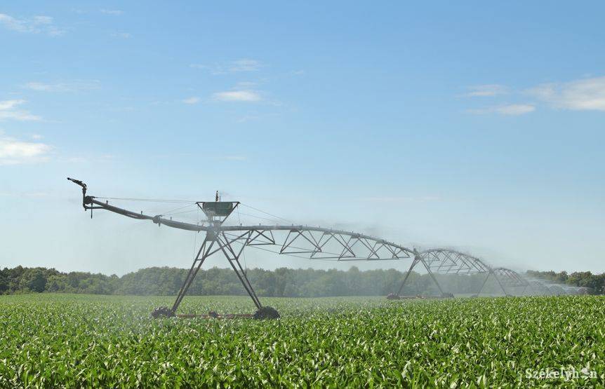 • Fotó: illusztráció