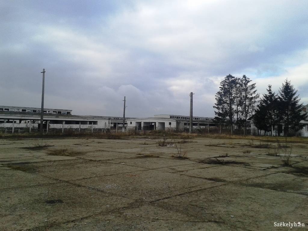 • Fotó: Bús Ildikó