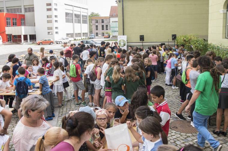 A Schweighofer makettépítő versenye ellen fordultak a zöldek