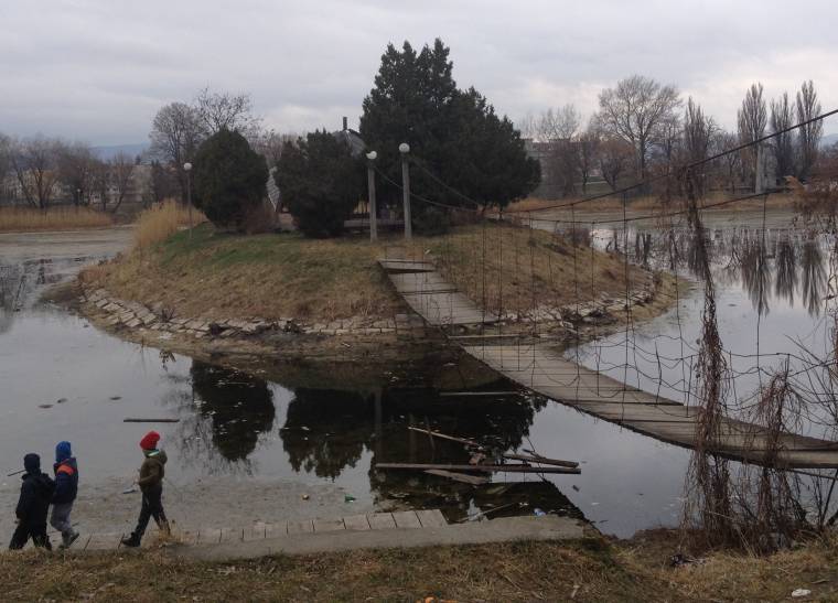 Halpusztulás Sepsiszentgyörgyön