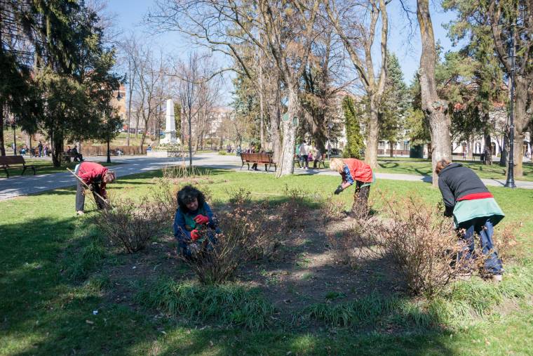 Folyamatosan pótolni kell a köztéri virágokat Sepsiszentgyörgyön