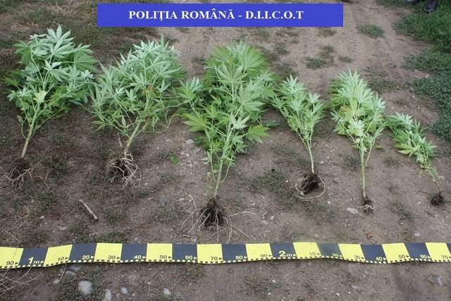 •  Fotó: Kovászna Megyei Rendőr-főkapitányság