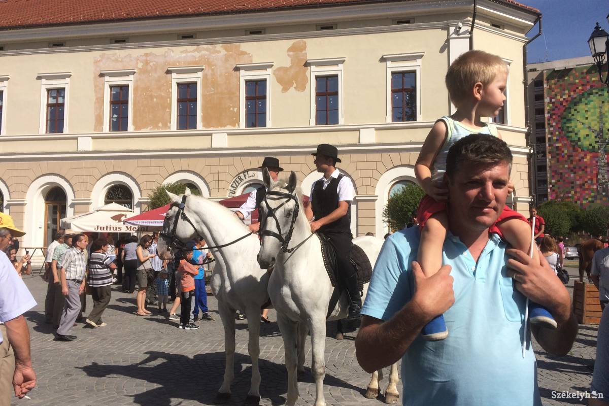 &bullet;  Fotó: Bíró Blanka