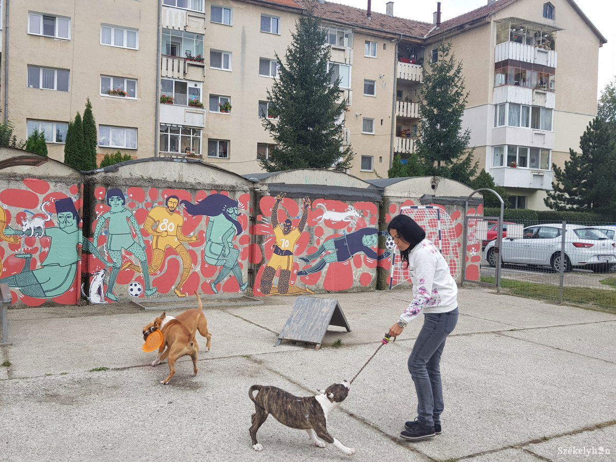 •  Fotó: Bíró Blanka