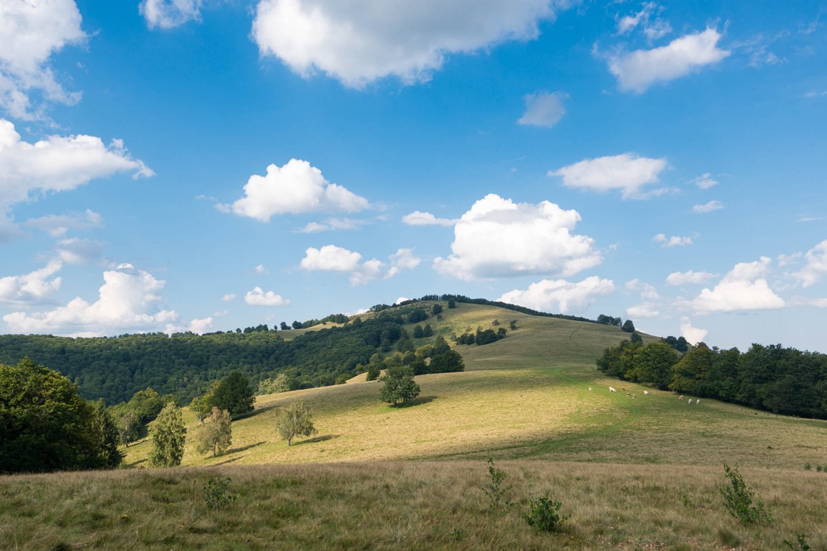&bullet;  Fotó: Vargyasi Levente