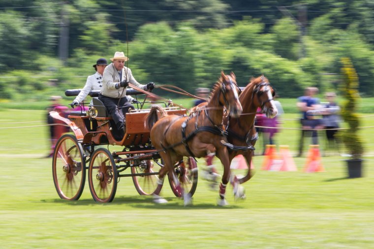 Országos kettes fogathajtó versenyt tartottak Háromszéken
