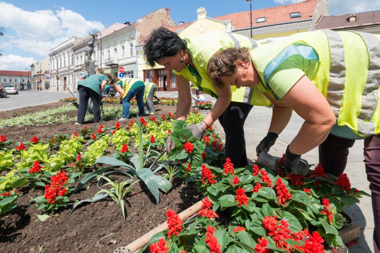 A tavaszi nagytakarítás elvégzésére kérik a sepsiszentgyörgyieket