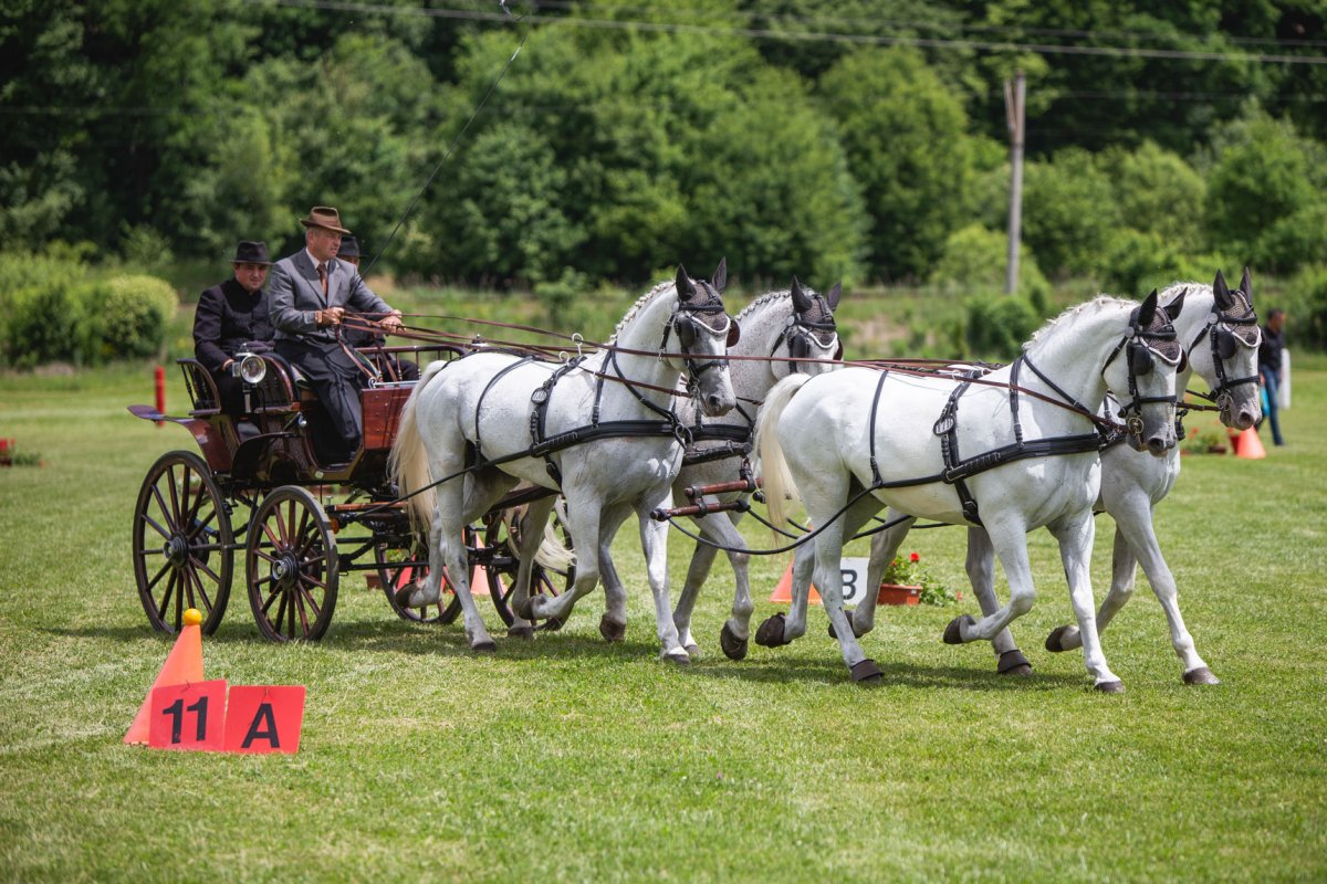 &bullet;  Fotó: Kocsis B. János
