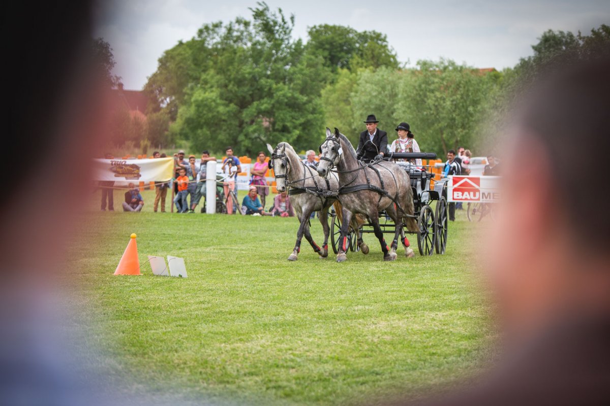 Egyre nagyobb elismerésnek örvend a bodoki fogathajtó-pálya. Ezúttal nem kerül annyira a figyelem középpontjába. Archív • Fotó: Kocsis B. János