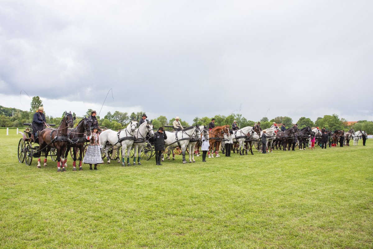 &bullet;  Fotó: Kocsis B. János