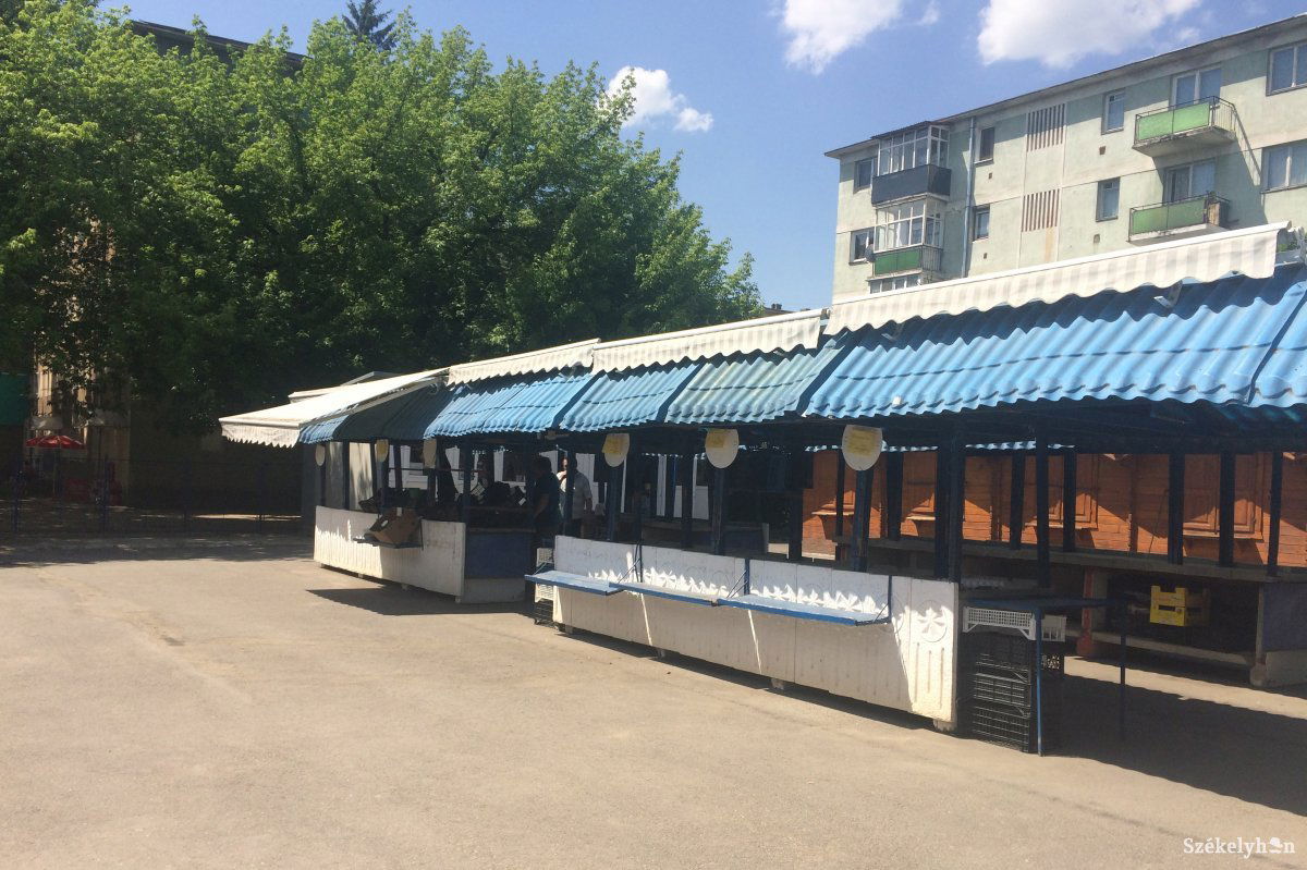 • Fotó: Bíró Blanka