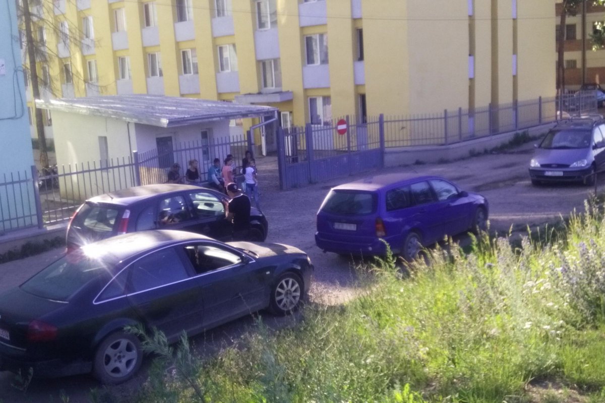 •  Fotó: MPP Sepsiszentgyörgyi Szervezete