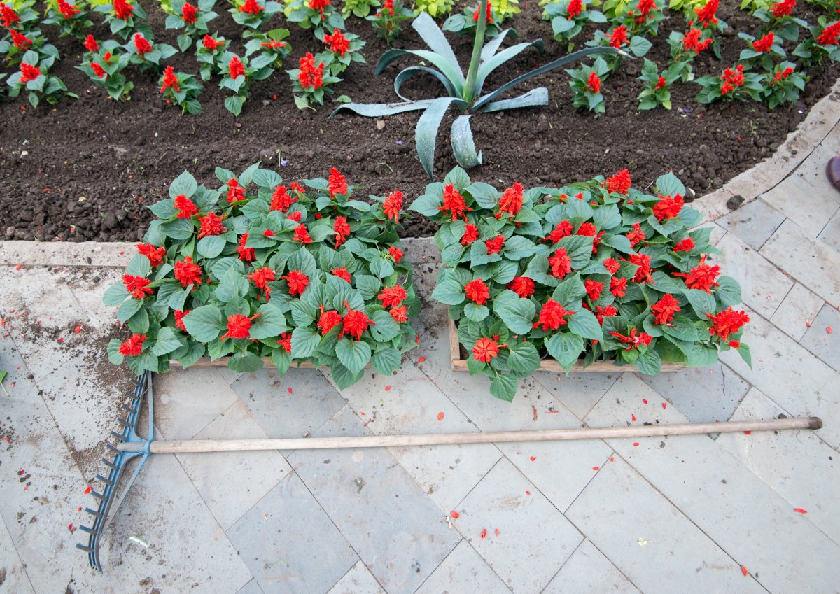 &bullet;  Fotó: Vargyasi Levente