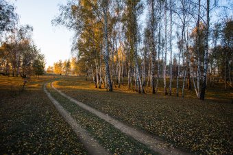 Turistaövezetben támadták meg a kutyák, veszélyben volt az élete