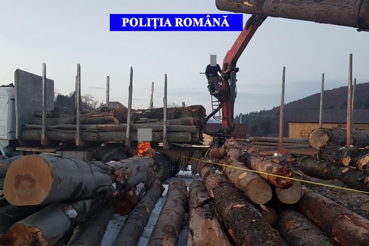 Húsz köbméter fát és egy teherautót koboztak el a rendőrök