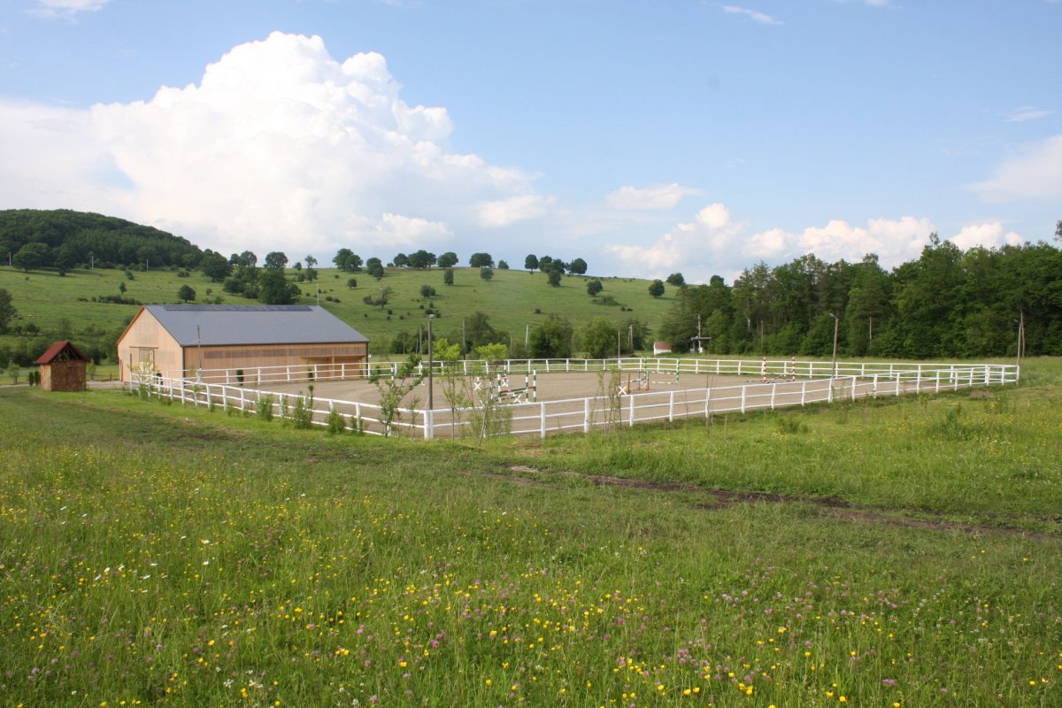 • Fotó: Vadon Egyesület/Facebook