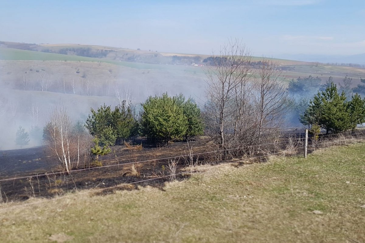 •  Fotó: Kovászna megyei tűzoltóság