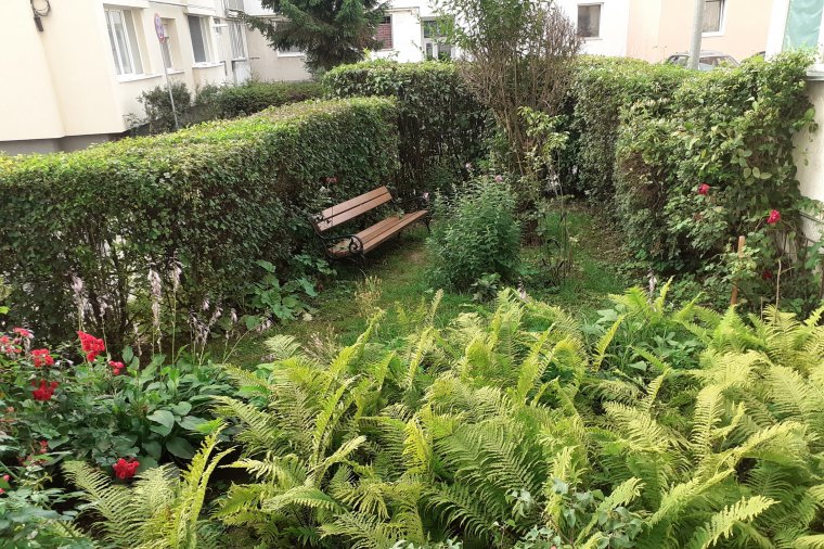 A Virágos Kolozsvár idei kiadásának célja egy rendezettebb városkép kialakítása