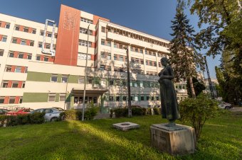 Két kérdésben kellett dönteniük