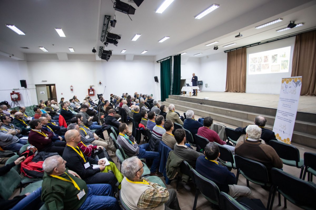 • Fotó: Kocsis B. János